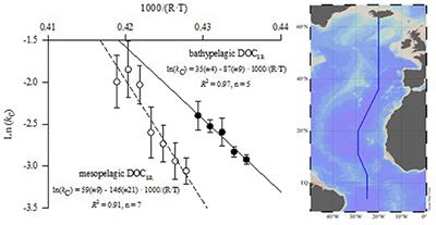 Large Stimulation of Recalcitrant Dissolved Organic Carbon Degradation by Increasing Ocean Temperatures